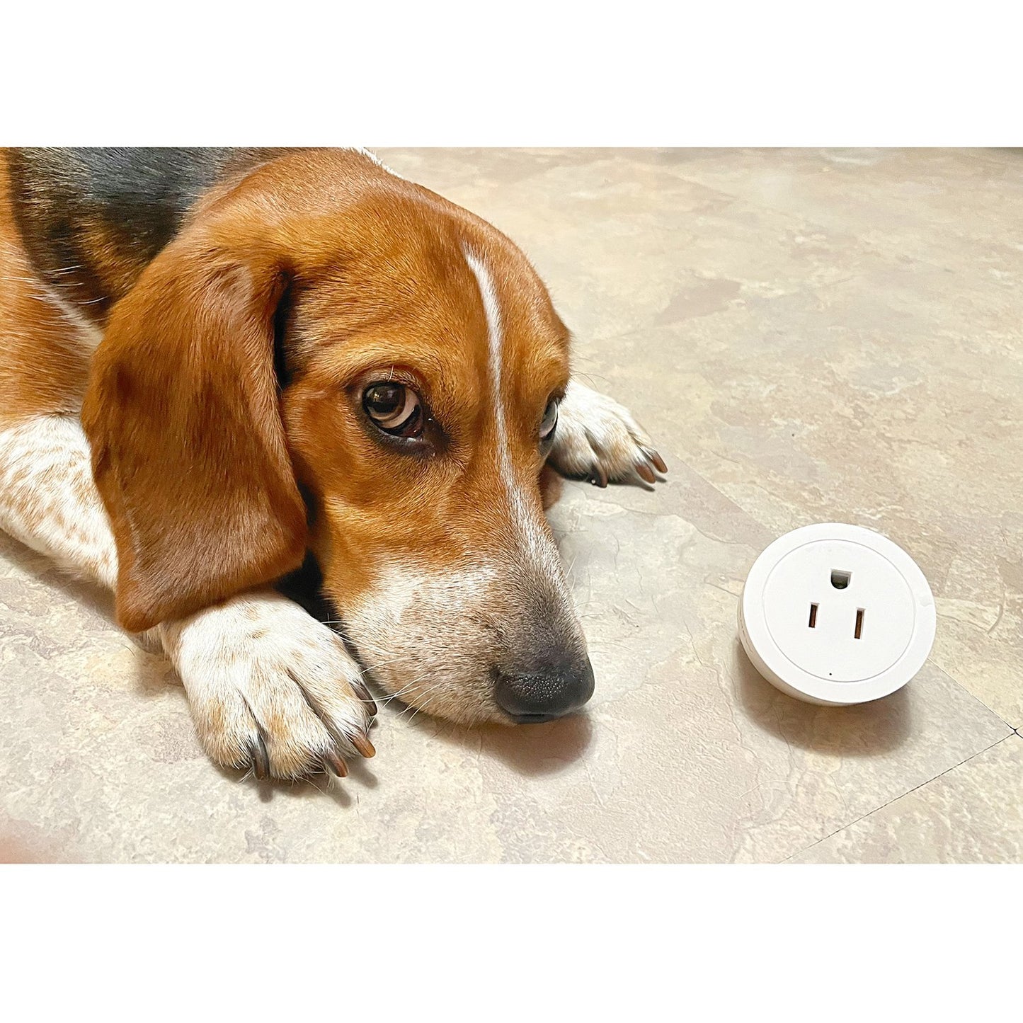 Pureconnect Smart Plug, Alexa and Google Home Compatible